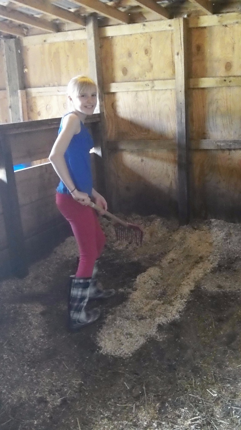 Mucking a stable.