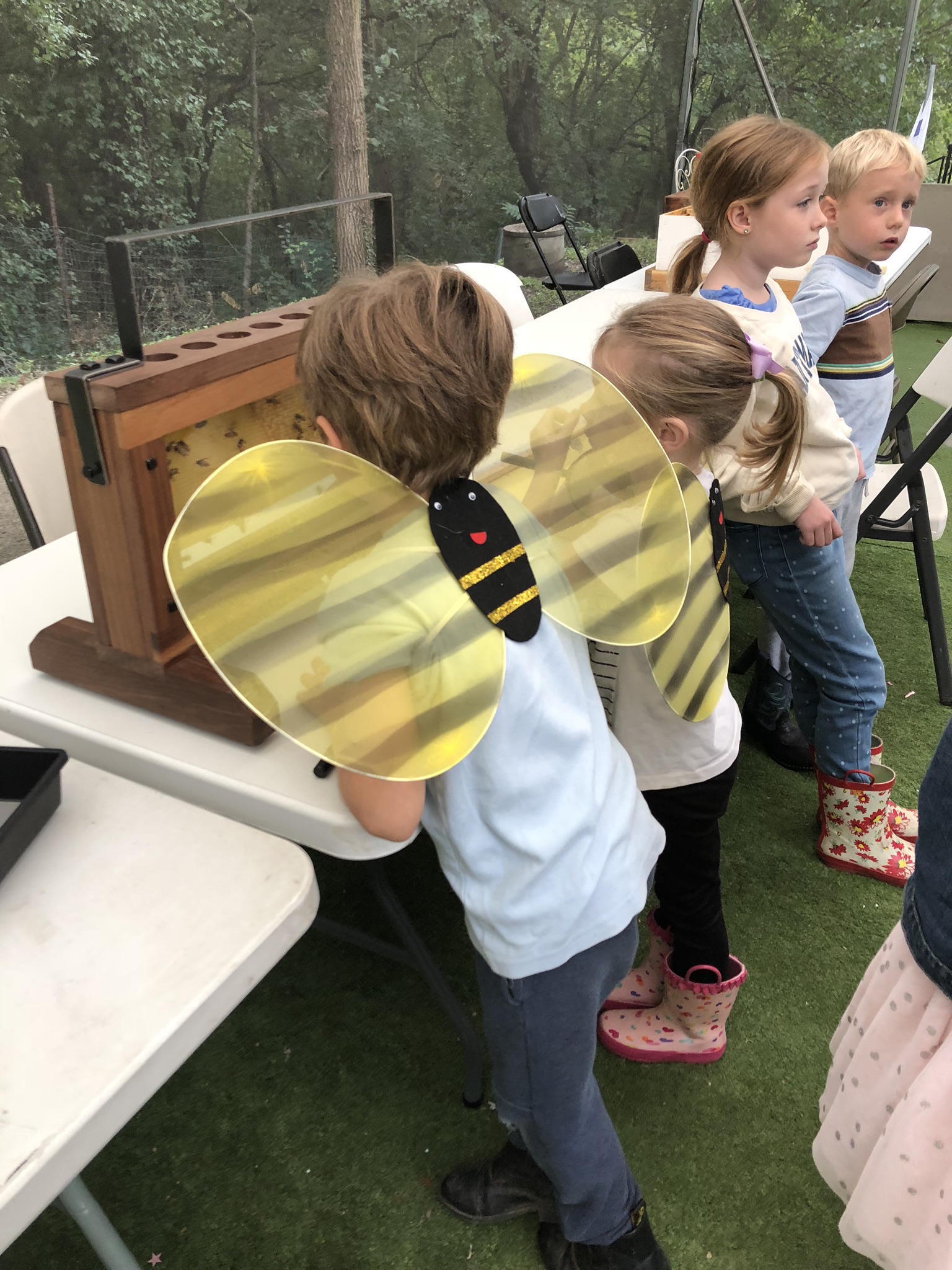 A kid with bee wings looking at bees.