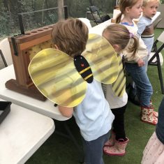 A kid wearing bee wings.