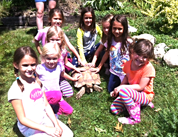 A group of kids kneeling around a turtle.