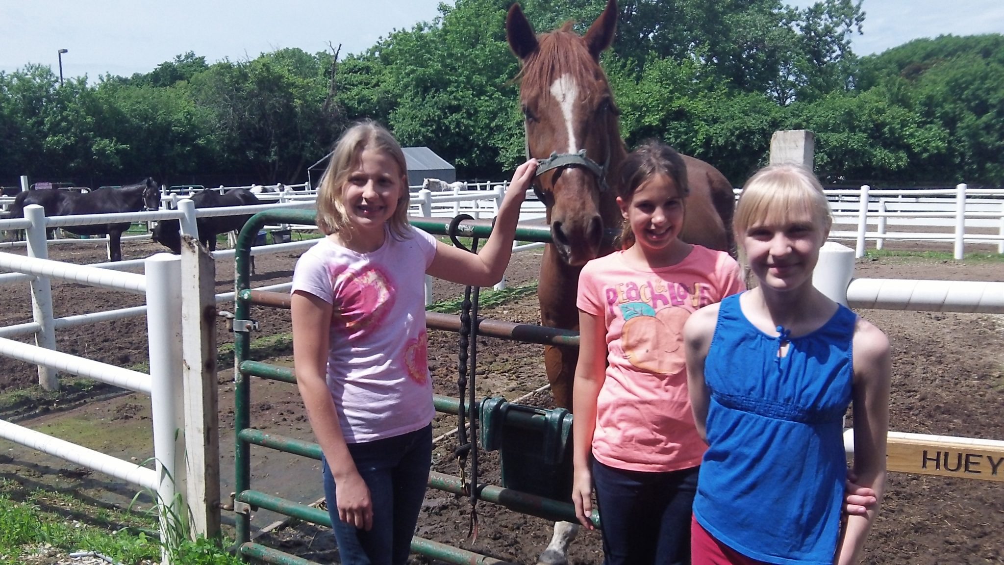 Three girls outside of a horse coral.