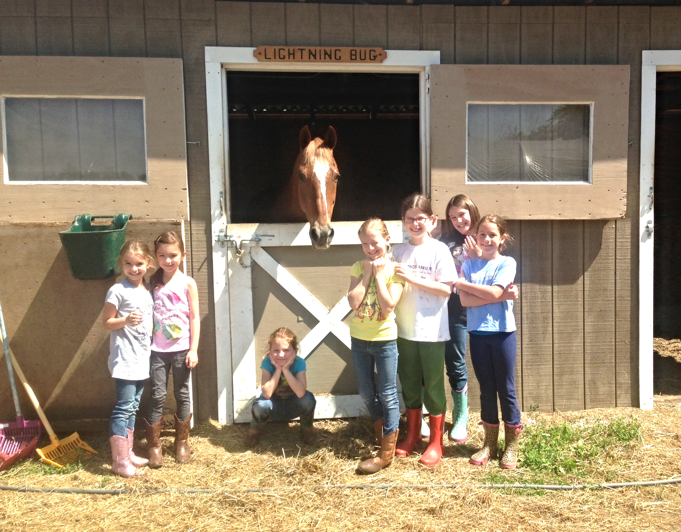 7 children standing outside a stable with a horse piking out its head.