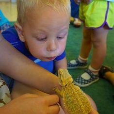 A kid excitedly staring at a lizard.