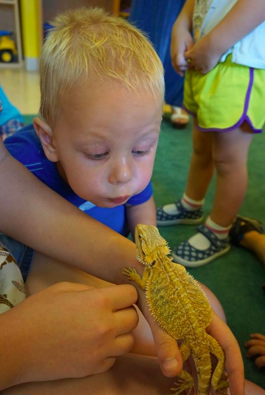 A kid excitedly staring at a lizard.