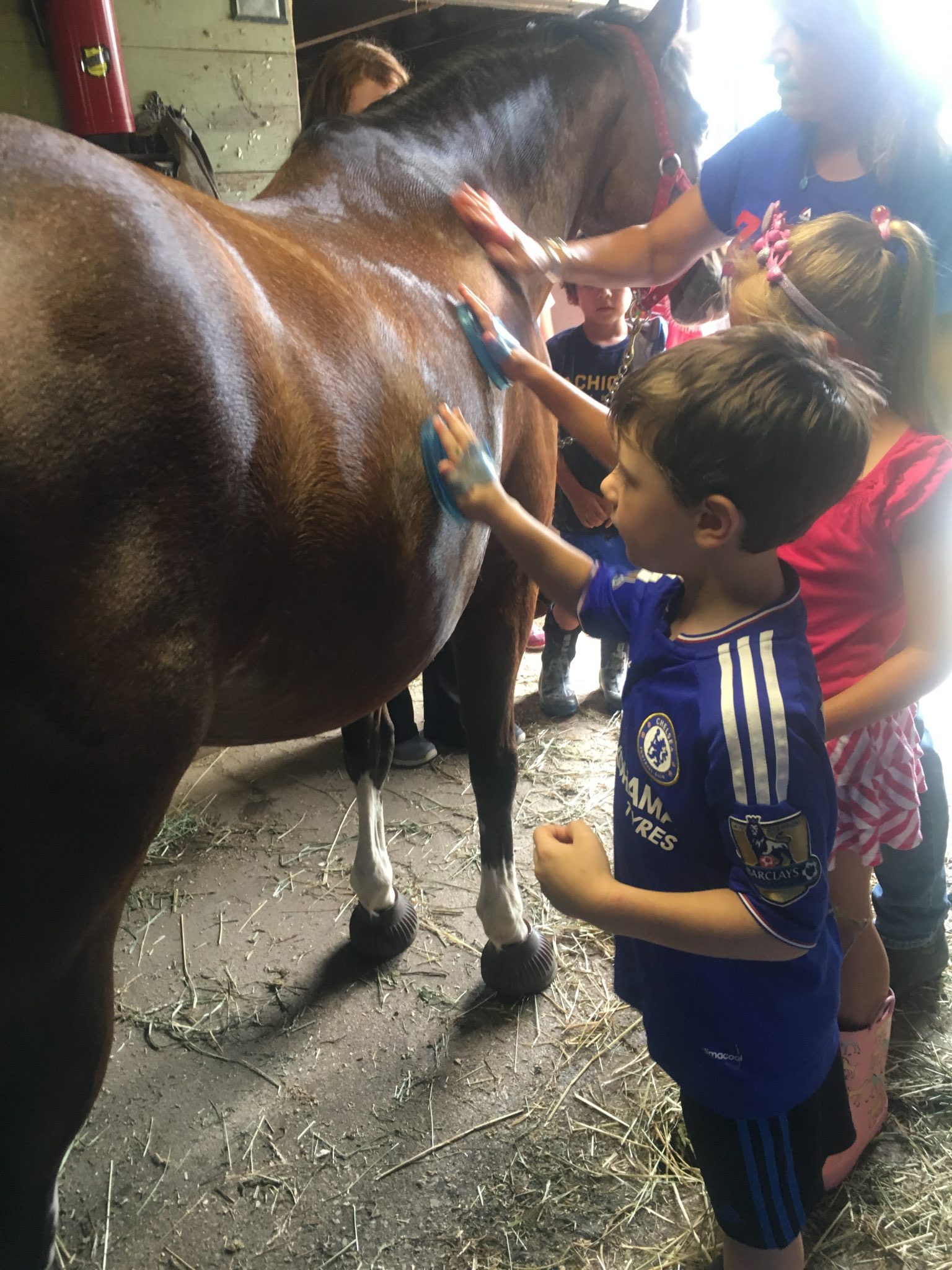 Children brushing a horse.
