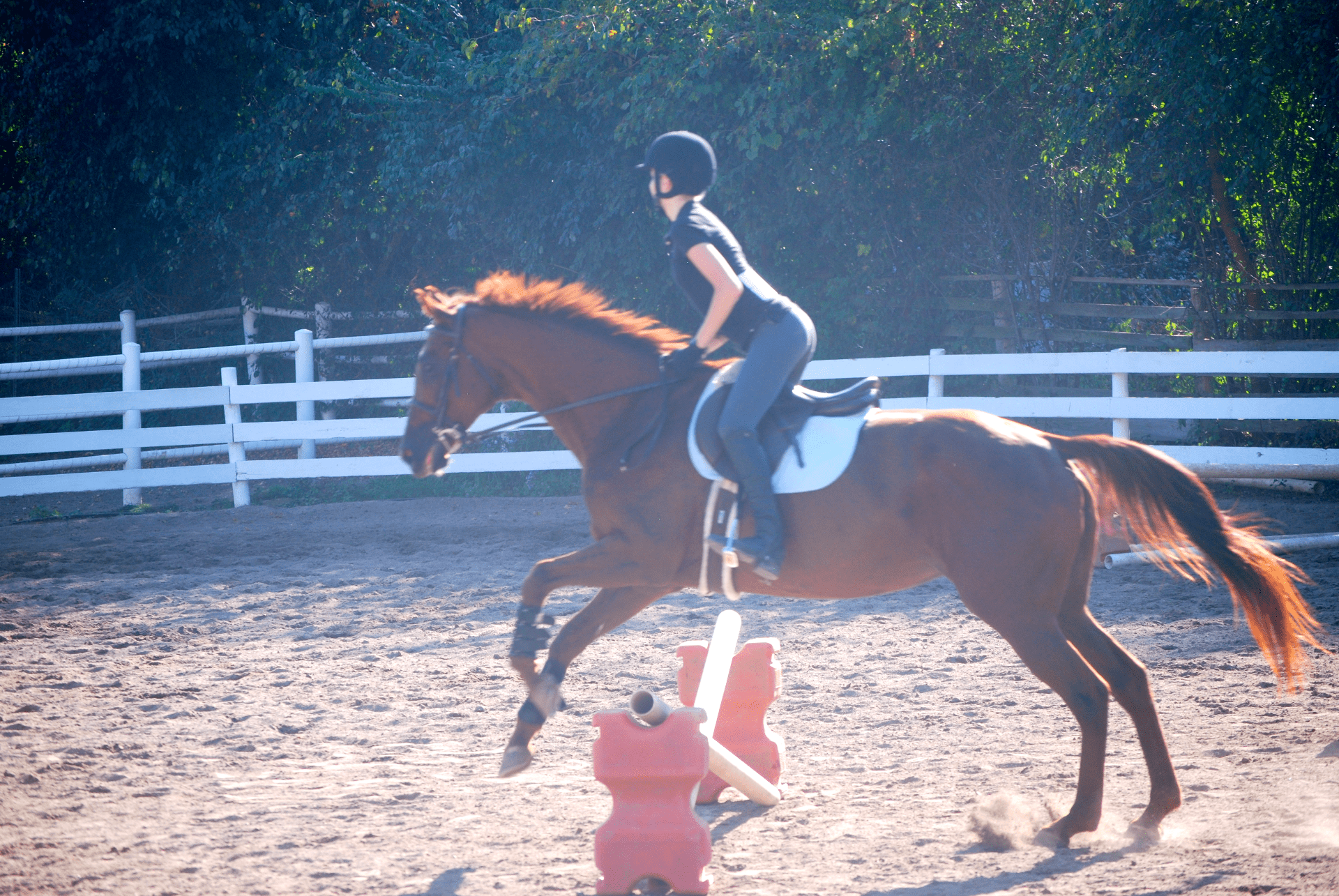 Riding a horse through a course.