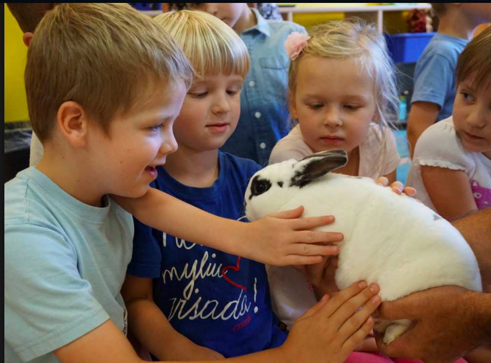Children petting a rabbit.