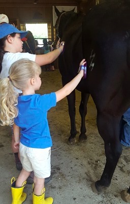 Two young children brushing a horse.