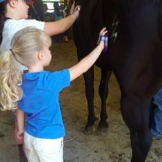 Two children brushing a horse.