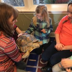 Children petting a turtle.