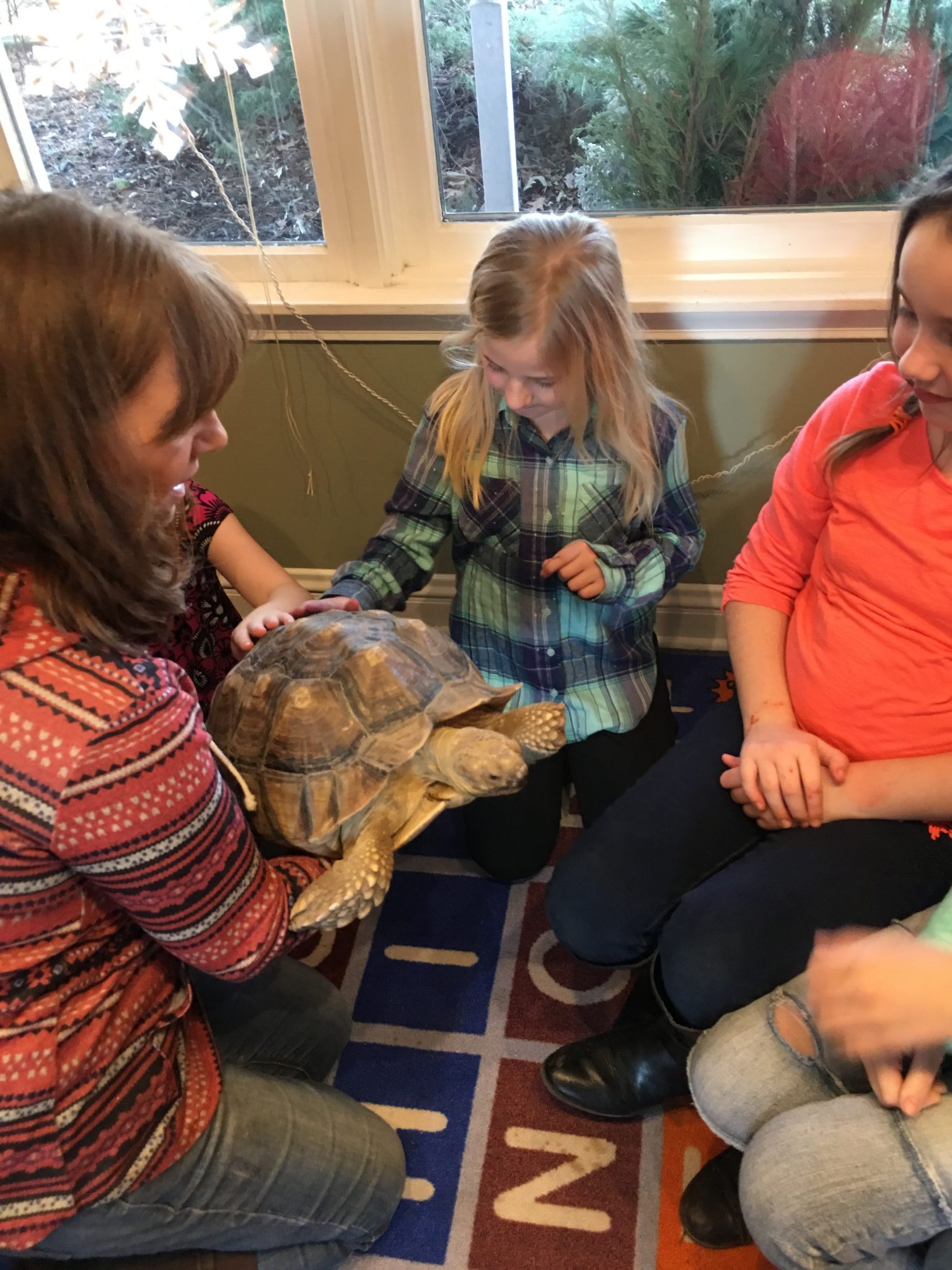 A young girl in a plaid shirt petting a turtle.