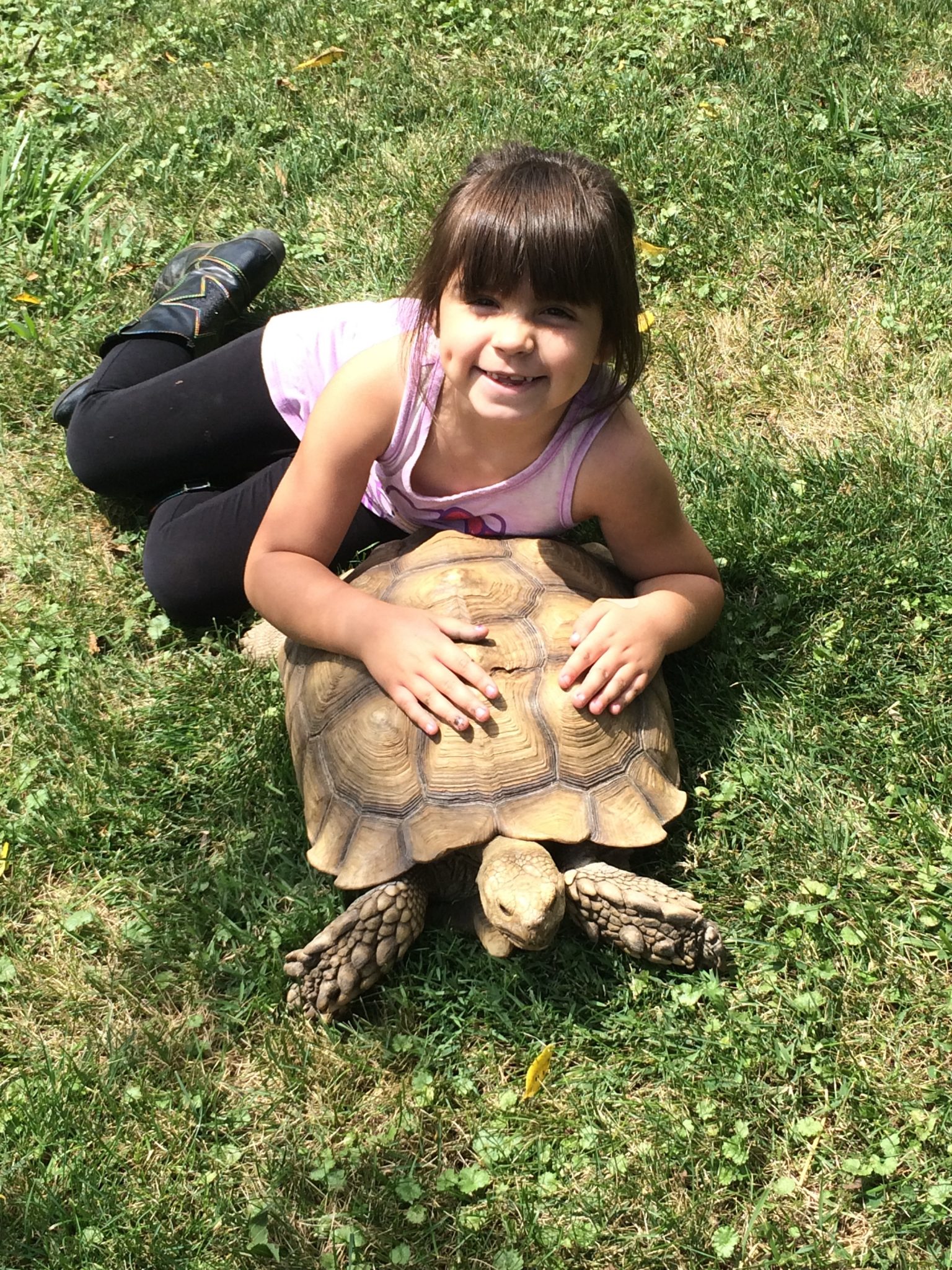 A young girl laying with a turtle.