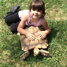 A girl laying with a turtle.