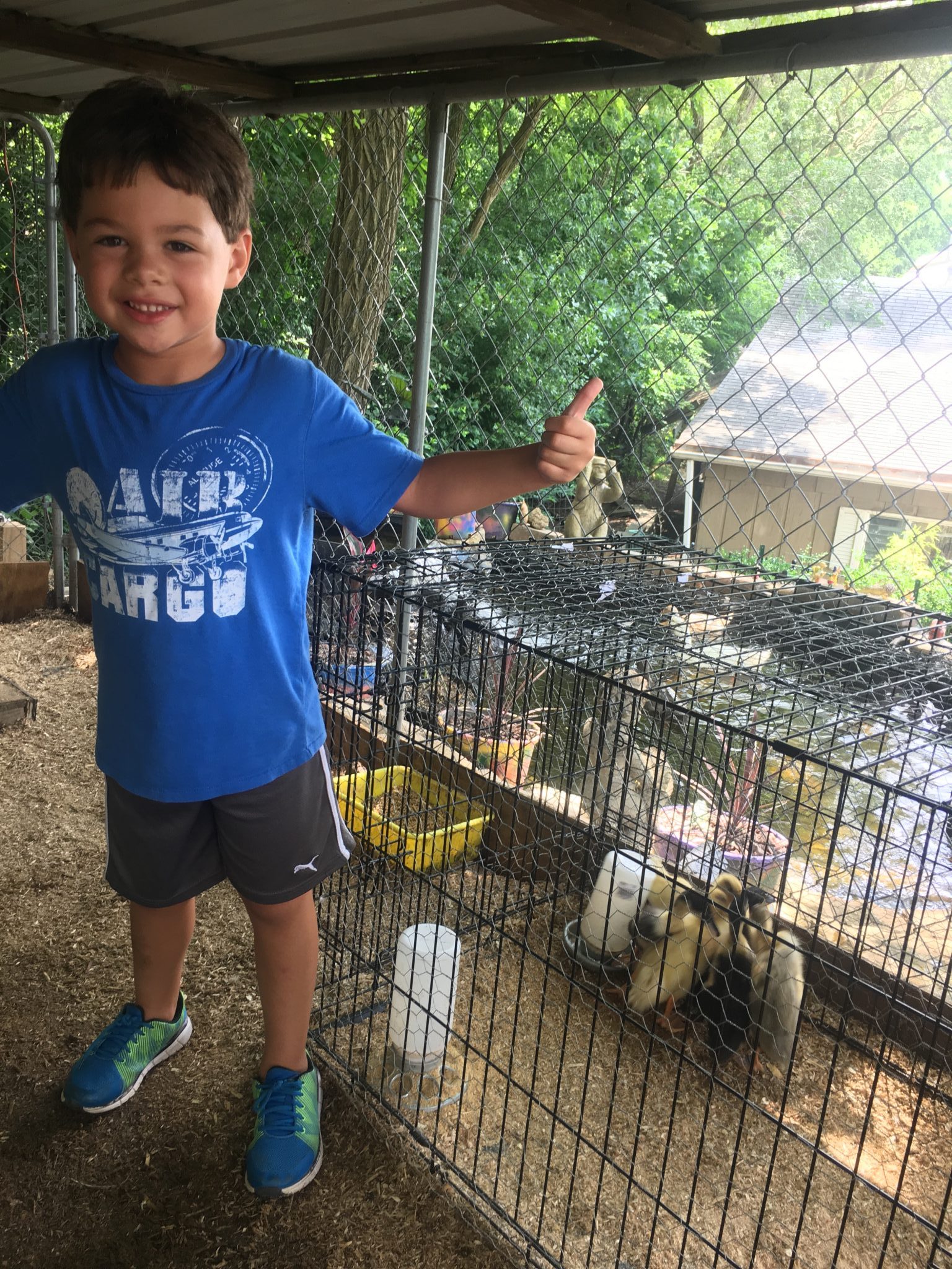 A child standing in front of an animal's cage.