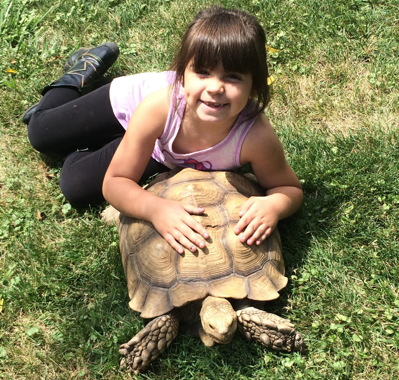 A young girl laying with a tortoise