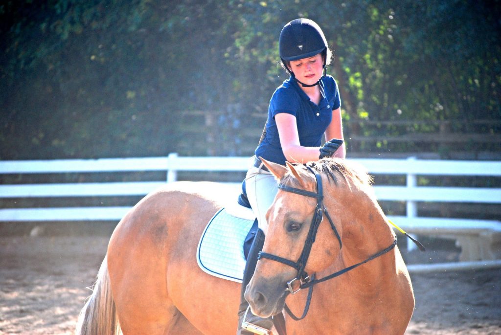 Horseback Riding Chicago, IL