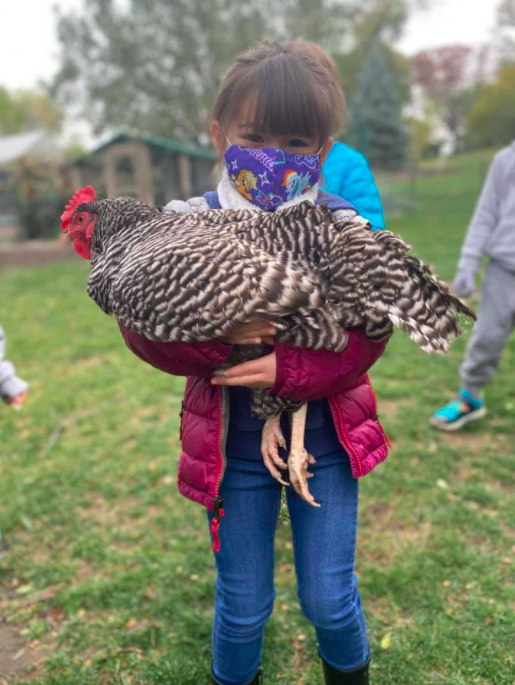 Girl and Chicken